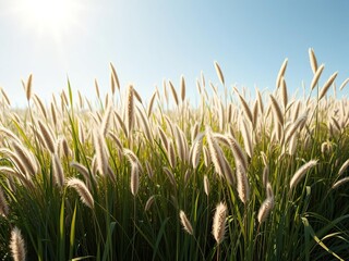 Fototapeta premium A diverse array of motley grasses bask in the sunlight as they reach their full blooming potential, natural beauty, riverbank scenery, vibrant blooms