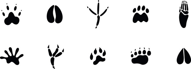 Paw print silhouette. Isolated paw print on white background © oleg7799
