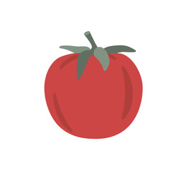 Red tomato isolated on white background. Hand drawing vector illustration