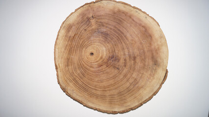 Cutting board made of tree cut . High quality photo