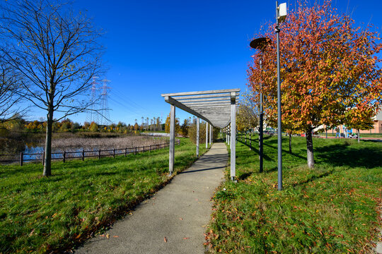 In autumn, the public park in Arese transforms into a vibrant tapestry of colors. The trees display rich shades of amber and gold.