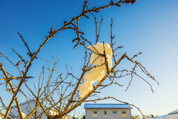 Fototapety na wymiar - Fototapeta24.pl