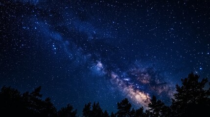 Fototapeta premium Stunning night sky filled with stars and vibrant milky way over silhouetted trees