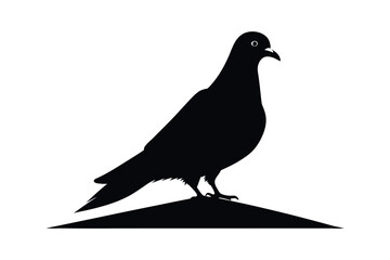 Pigeon silhouette vector illustration in black and white