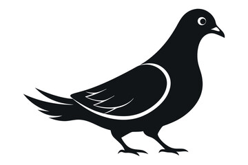 Pigeon silhouette vector illustration in black and white