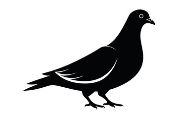 Pigeon silhouette vector illustration in black and white