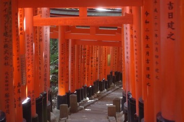 toris japoneses en kyoto