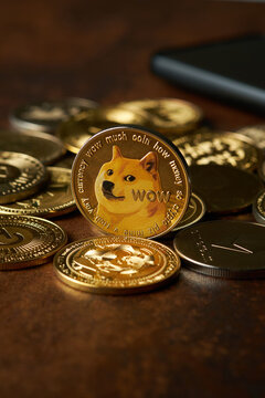 Collectible Doge coin surrounded by various other coins on a wooden surface