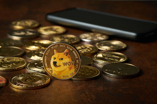 Collectible Doge coin surrounded by various other coins on a wooden surface