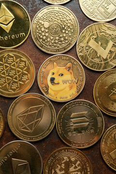 Collectible Doge coin surrounded by various other coins on a wooden surface