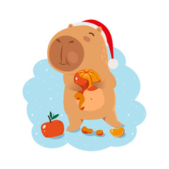 Cute Christmas capybara in Santa hat eats tangerines. Christmas kawaii cartoon characters