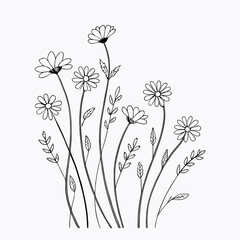 a minimalist vector line art illustration of tall, delicate flowers with thin stems and small leaves