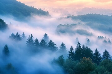 Fototapeta premium Misty Dawn Forest Landscape - Serene foggy forest at dawn, symbolizing mystery, tranquility, peace, nature, and magic.
