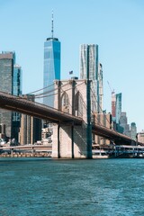 Fototapeta premium Sunny day in New York with a clear blue sky
