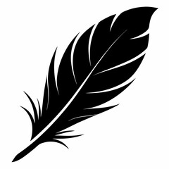 Obraz premium black feathers clipart cartoon Illustration drawing