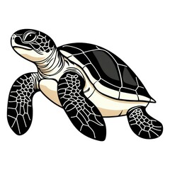 Obraz premium A colorful illustration of a sea turtle swimming gracefully, showcasing its distinctive shell patterns and aquatic features.