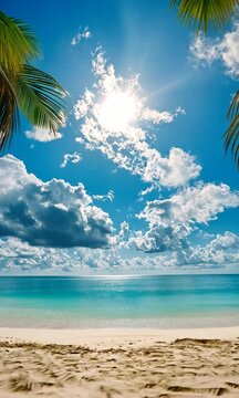 Vertical View of a Beautiful Beach with Palm Trees and Clear Blue Sky, Bright Sun and Calm Ocean