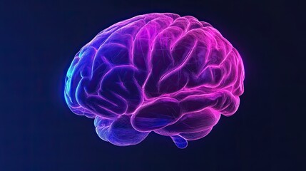 Anatomical brain shown close-up in 3D. The model is made of plastic and emits a glow. The concept of thought energy. Illustration for banner, cover, brochure or presentation.