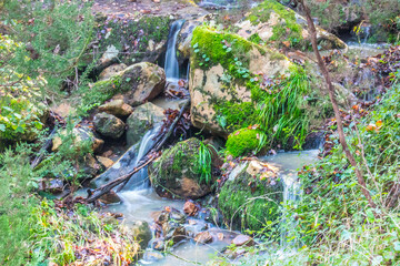 Mountain river in the forest. Mountain river in the forest.