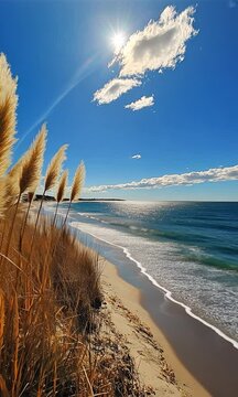 A beach with a bunch of tall grasses and a clear blue sky and ocean, vertical