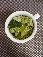 Cup of coca leaves tea