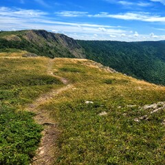 Obraz premium Grassy Hiking Trail on Rocky Coastline