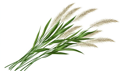 Fototapeta premium Elegant bouquet of pampas grass with green leaves, natural and decorative aesthetic, botanical concept