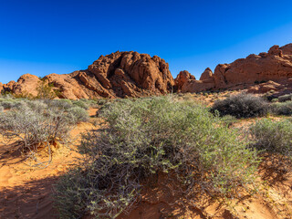 Das Valley of Fire und seine wunderschönen Felsen