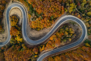 autumn landscape. drone shot on a curvy forest road.