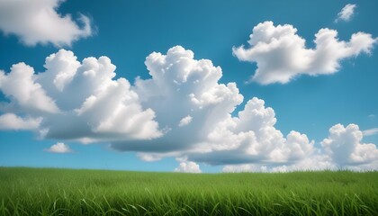 Campo de hierba verde con un cielo azul claro y nubes blancas esponjosas