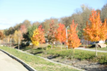 Naklejka premium Blurred view of beautiful autumnal park with pathway