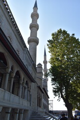 The tall minarets of a mosque in Istanbul rise against a clear sky, with a tree providing shade along the stone steps leading to the entrance. The architecture showcases intricate details
