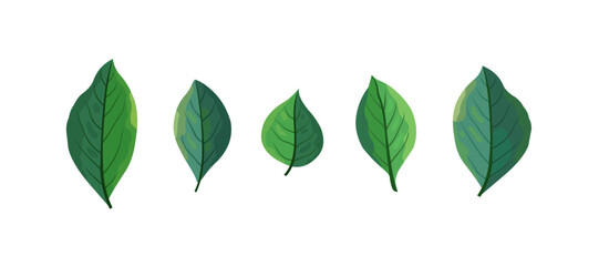 Green leaves icons set. Realistic style