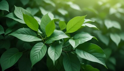 Fototapeta premium Hojas verdes con fondo borroso, vista cercana de follaje exuberante