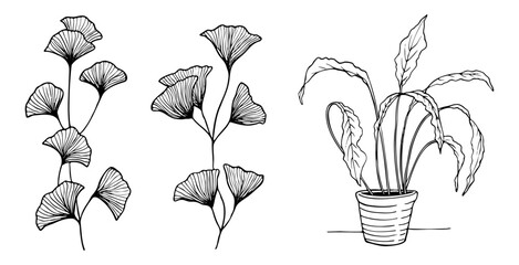 Handmade sketch of artistic flowers and plants, line drawing illustration without background in vector