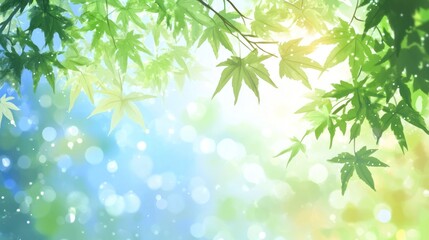 Obraz premium Green Maple Leaves Against A Bright Sunny Sky