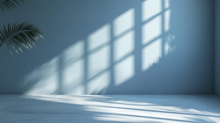 Obraz premium Minimalist Room Setting with Sunlight and Palm Leaf