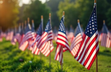 American flags field grass Veterans Day memorial. Patriotic symbols honor military service. National holiday tribute army air force peace. Flag salute remembrance ceremony.