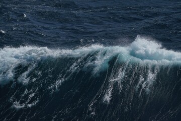 Majestic ocean wave crashing with frothy white spray against deep blue water, showcasing power and beauty of nature