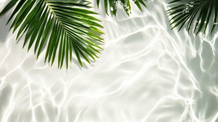 Palm fronds and sunlight on rippled water surface