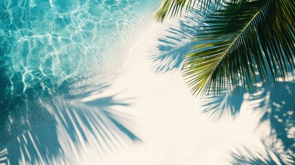 Fototapeta premium Palm Tree Shadows on Tropical Beach Sand and Ocean Water