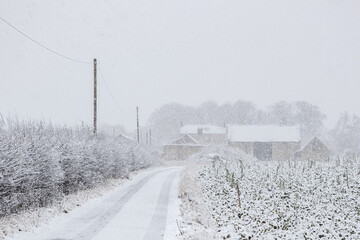 snow covered road in winter
