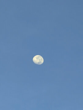 Close-up of a half-moon captured during the day, with detailed surface features set against a clear blue sky