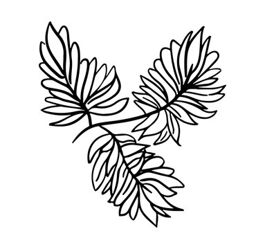 black line art leaves on white clip art preview