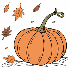 pumpkin on a white background