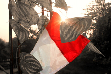 Obraz premium Indonesian flag mounted on an iron bar and surrounded by leaves. The coloring focuses only on the flag.