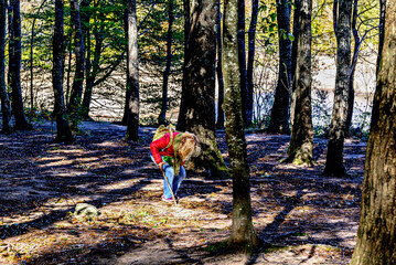 Woman collecting chestnuts in autumn in Montseny Natural Park in Barcelona, ​​Spain	