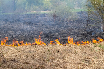 Dry grass is burning in the field.