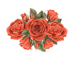 Bouquet of bright red vintage roses with open buds and closed, green leaves. Watercolor hand drawn illustration for Valentine's Day, wedding, anniversary, birthday, invitations, cards, souvenirs