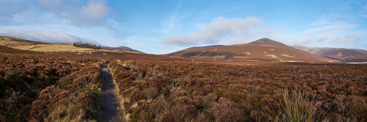 Footpath to the summit of Skiddaw in Skiddaw Forest, Kewsick, Lake District, UK